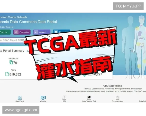 PG体育官网入口网页版最新版本下载与更新指南,确保玩家第一时间享受新内容 PG体育官网入口网页版最新版本下载与更新指南,确保玩家第一时间享受新内容
